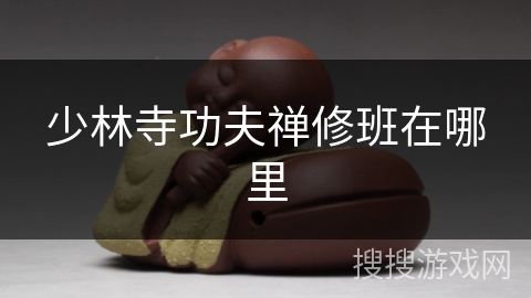 少林寺功夫禅修班在哪里