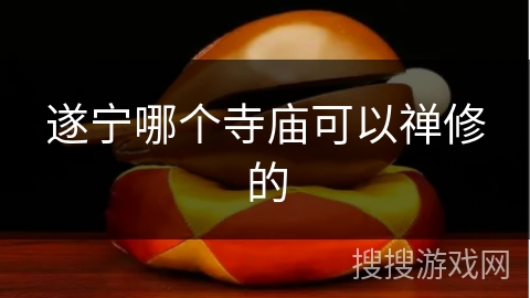 遂宁哪个寺庙可以禅修的