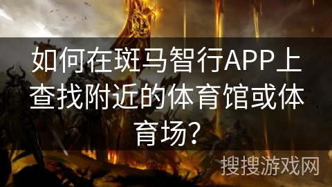 如何在斑马智行APP上查找附近的体育馆或体育场？