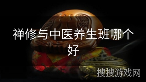 禅修与中医养生班哪个好