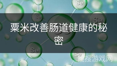 粟米改善肠道健康的秘密 粟米改善肠道健康的秘密
