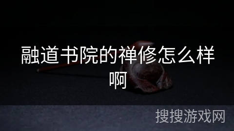 融道书院的禅修怎么样啊