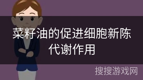 菜籽油的促进细胞新陈代谢作用 菜籽油的促进细胞新陈代谢作用