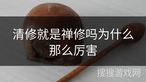 清修就是禅修吗为什么那么厉害