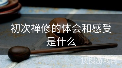 初次禅修的体会和感受是什么