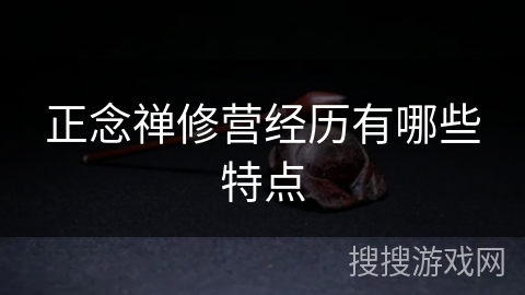 正念禅修营经历有哪些特点