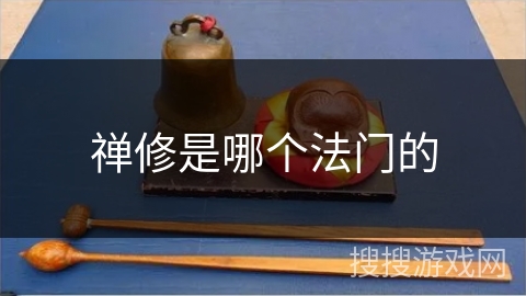 禅修是哪个法门的 禅修是哪个法门的