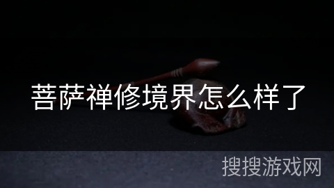 菩萨禅修境界怎么样了