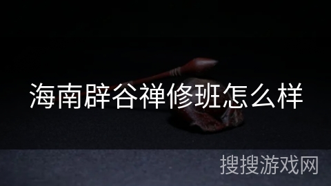 海南辟谷禅修班怎么样