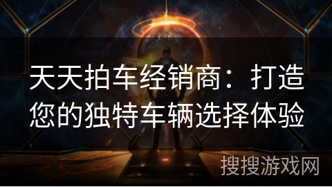 天天拍车经销商：打造您的独特车辆选择体验