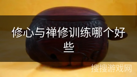 修心与禅修训练哪个好些