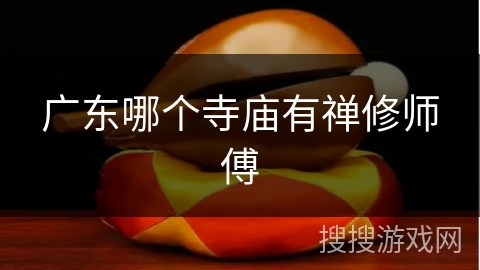 广东哪个寺庙有禅修师傅 广东哪个寺庙有禅修师傅