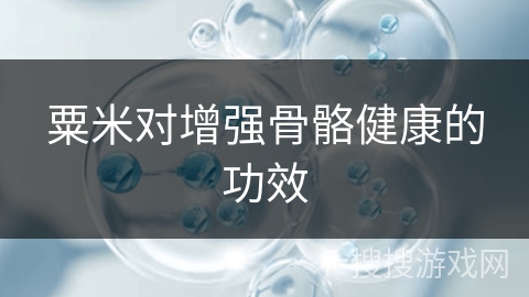 粟米对增强骨骼健康的功效