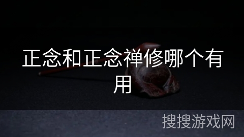 正念和正念禅修哪个有用 正念和正念禅修哪个有用