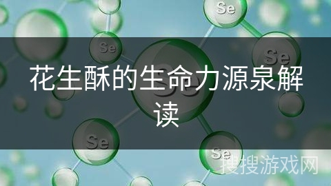 花生酥的生命力源泉解读