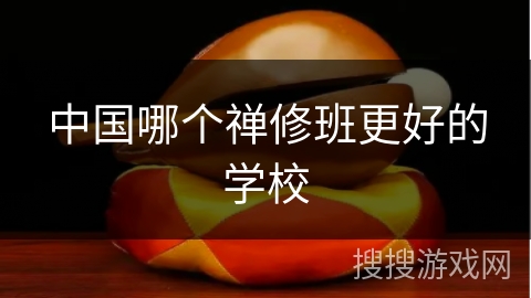 中国哪个禅修班更好的学校