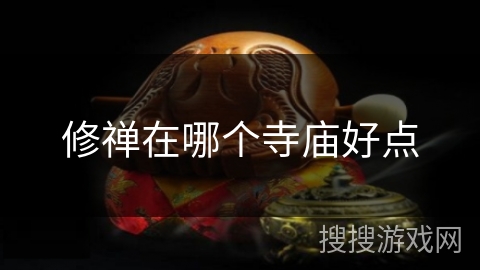修禅在哪个寺庙好点
