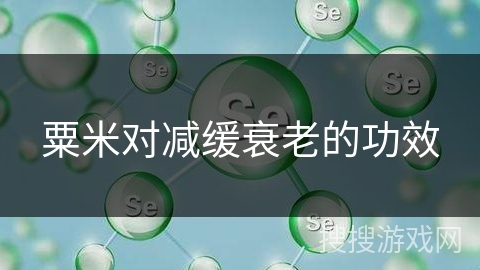 粟米对减缓衰老的功效