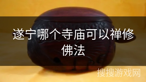 遂宁哪个寺庙可以禅修佛法 遂宁哪个寺庙可以禅修佛法