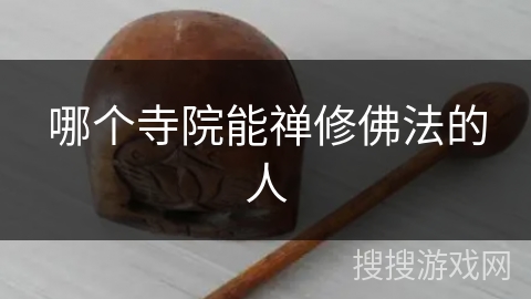 哪个寺院能禅修佛法的人