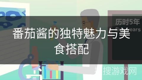 番茄酱的独特魅力与美食搭配