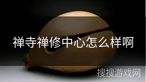 禅寺禅修中心怎么样啊