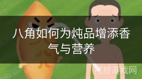 八角如何为炖品增添香气与营养