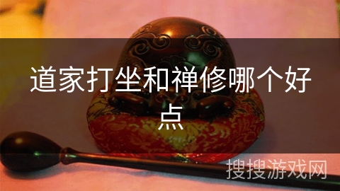 道家打坐和禅修哪个好点