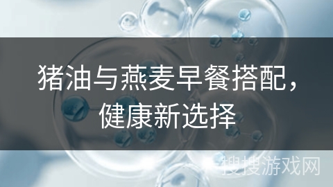 猪油与燕麦早餐搭配，健康新选择