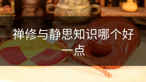 禅修与静思知识哪个好一点