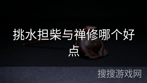 挑水担柴与禅修哪个好点