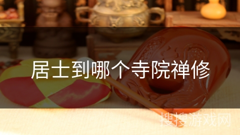 居士到哪个寺院禅修