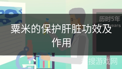 粟米的保护肝脏功效及作用