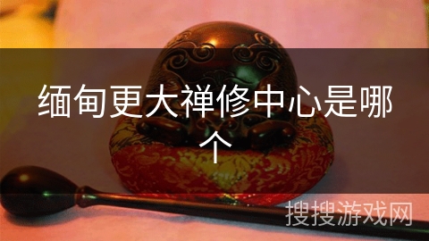 缅甸更大禅修中心是哪个