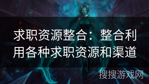 求职资源整合：整合利用各种求职资源和渠道