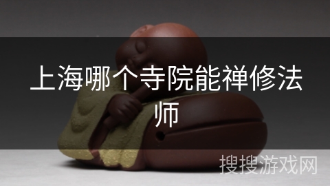 上海哪个寺院能禅修法师