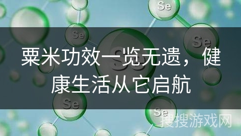 粟米功效一览无遗，健康生活从它启航