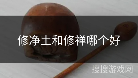 修净土和修禅哪个好 修净土和修禅哪个好