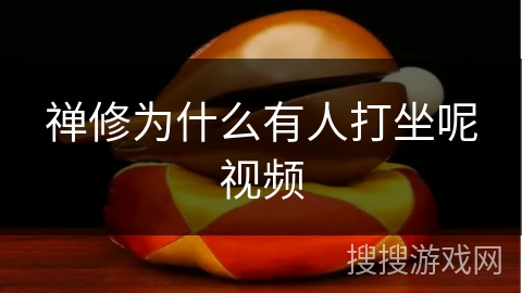 禅修为什么有人打坐呢视频 禅修为什么有人打坐呢视频