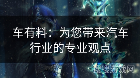 车有料:为您带来汽车行业的专业观点 车有料:为您带来汽车行业的专业观点