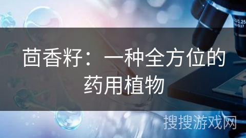 茴香籽:一种全方位的药用植物