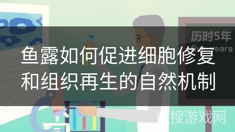 鱼露如何促进细胞修复和组织再生的自然机制