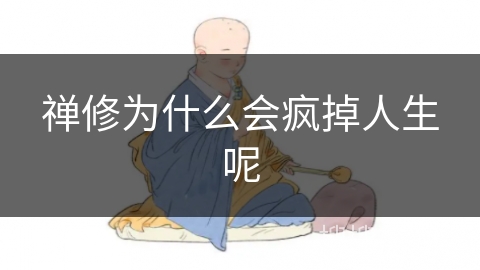 禅修为什么会疯掉人生呢