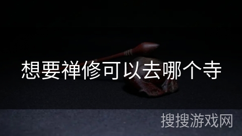 想要禅修可以去哪个寺 想要禅修可以去哪个寺