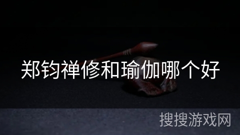 郑钧禅修和瑜伽哪个好