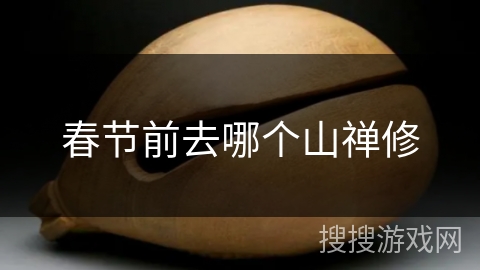 春节前去哪个山禅修 春节前去哪个山禅修