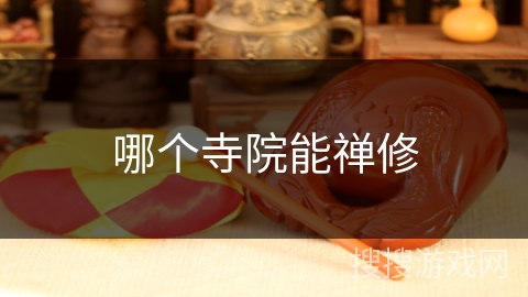 哪个寺院能禅修 哪个寺院能禅修