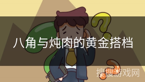 八角与炖肉的黄金搭档