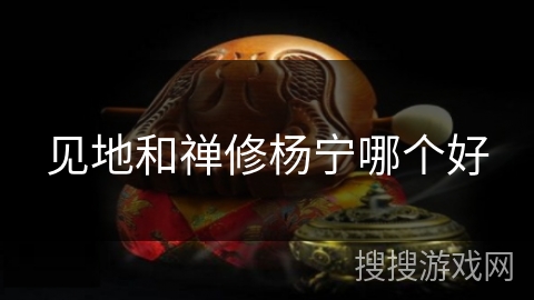 见地和禅修杨宁哪个好