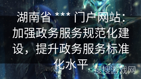 湖南省 *** 门户网站：加强政务服务规范化建设，提升政务服务标准化水平